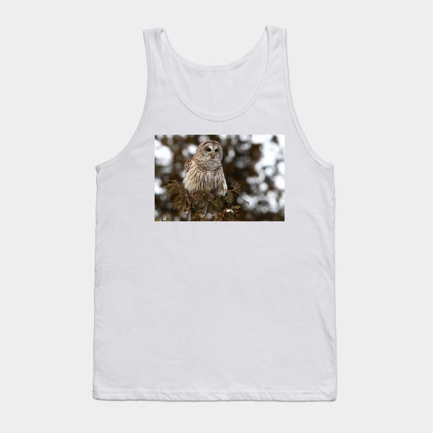 Barred Owl - Kanata Tank Top by Jim Cumming